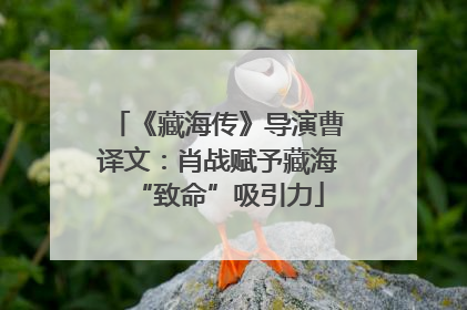 《藏海传》导演曹译文：肖战赋予藏海“致命”吸引力