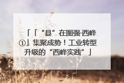 「“县”在图强·西峰①」集聚成势！工业转型升级的“西峰实践”