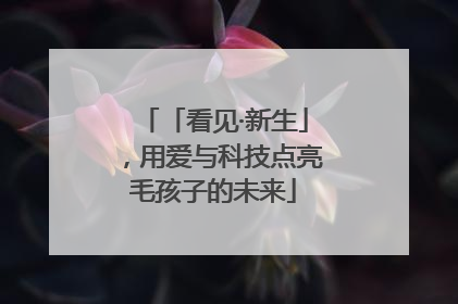 「看见·新生」，用爱与科技点亮毛孩子的未来