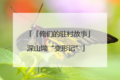 「俺们的驻村故事」深山坳“变形记”