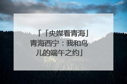 「央媒看青海」青海西宁：我和鸟儿的端午之约