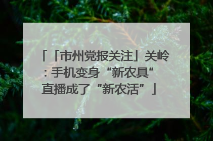 「市州党报关注」关岭：手机变身“新农具” 直播成了“新农活”