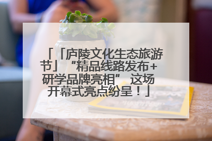 「庐陵文化生态旅游节」“精品线路发布+研学品牌亮相” 这场开幕式亮点纷呈！
