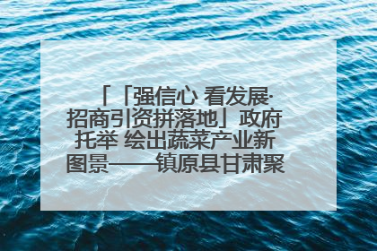 「强信心 看发展·招商引资拼落地」政府托举 绘出蔬菜产业新图景——镇原县甘肃聚广利现代设施蔬菜种植基地见闻