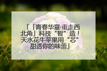 「青春华章·重走西北角」科技“智”造！天水花牛苹果用“芯”甜透你的味蕾