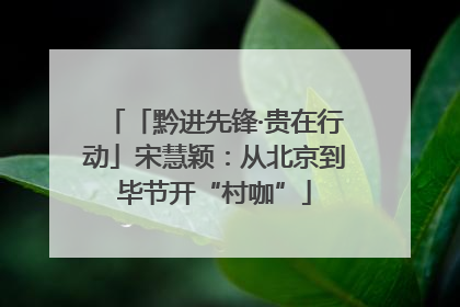 「黔进先锋·贵在行动」宋慧颖：从北京到毕节开“村咖”