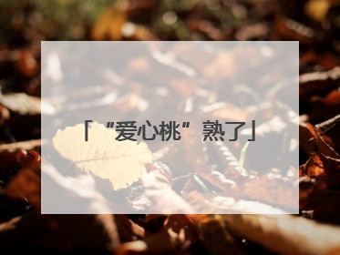 “爱心桃”熟了