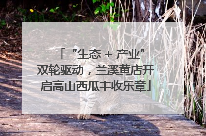 “生态 + 产业”双轮驱动，兰溪黄店开启高山西瓜丰收乐章