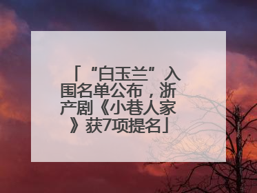 “白玉兰”入围名单公布，浙产剧《小巷人家》获7项提名