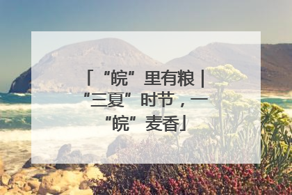 “皖”里有粮｜“三夏”时节，一“皖”麦香