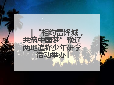 “相约雷锋城，共筑中国梦”豫辽两地追锋少年研学活动举办