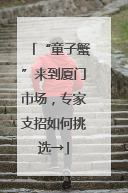 “童子蟹”来到厦门市场，专家支招如何挑选→