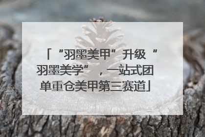 “羽墨美甲”升级“羽墨美学”，一站式团单重仓美甲第三赛道