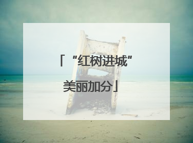 “红树进城” 美丽加分