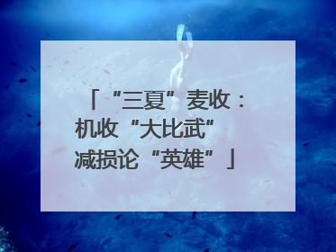 “三夏”麦收：机收“大比武” 减损论“英雄”
