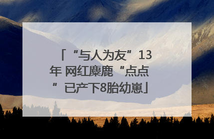 “与人为友”13年 网红麋鹿“点点”已产下8胎幼崽