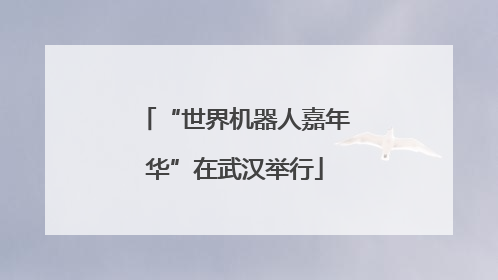 “世界机器人嘉年华”在武汉举行
