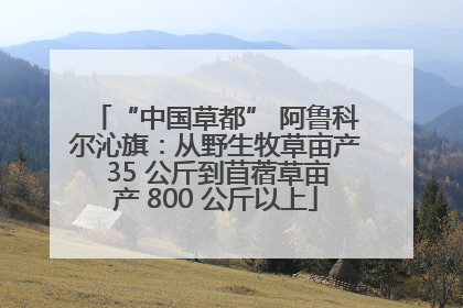 “中国草都” 阿鲁科尔沁旗：从野生牧草亩产 35 公斤到苜蓿草亩产 800 公斤以上