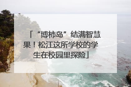 “博柿岛”结满智慧果！松江这所学校的学生在校园里探险
