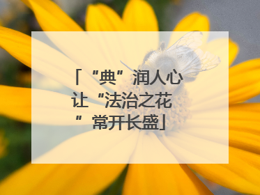 “典”润人心 让“法治之花”常开长盛