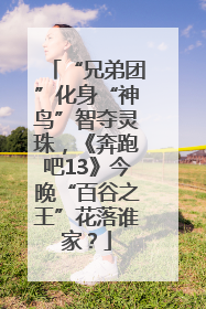 “兄弟团”化身“神鸟”智夺灵珠，《奔跑吧13》今晚“百谷之王”花落谁家？