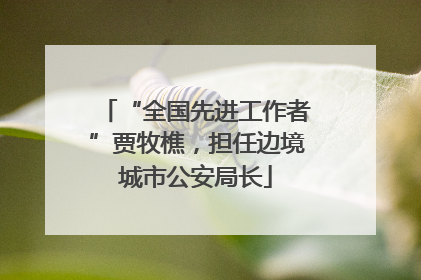 “全国先进工作者”贾牧樵，担任边境城市公安局长