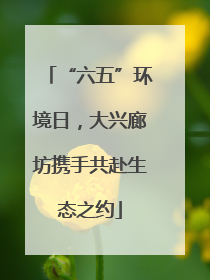 “六五”环境日，大兴廊坊携手共赴生态之约