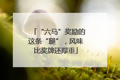 “六马”奖励的这条“腿”，风味比奖牌还厚重