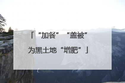 “加餐”“盖被” 为黑土地“增肥”