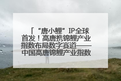 “唐小鲤”IP全球首发！高唐携锦鲤产业指数布局数字赛道——中国高唐锦鲤产业指数暨“唐小鲤”IP全球首发仪式在杭州举行