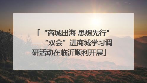 “商城出海 思想先行”——“双会”进商城学习调研活动在临沂顺利开展