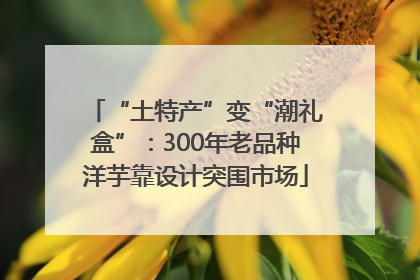 “土特产”变“潮礼盒”：300年老品种洋芋靠设计突围市场