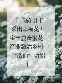 “家门口”采出幸福花！宝丰县金银花产业激活乡村“造血”功能