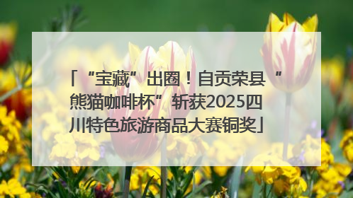 “宝藏”出圈！自贡荣县“熊猫咖啡杯”斩获2025四川特色旅游商品大赛铜奖