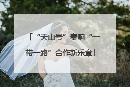“天山号”奏响“一带一路”合作新乐章