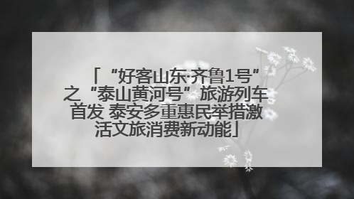 “好客山东·齐鲁1号”之“泰山黄河号”旅游列车首发 泰安多重惠民举措激活文旅消费新动能