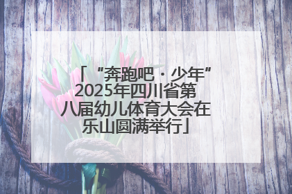 “奔跑吧・少年”2025年四川省第八届幼儿体育大会在乐山圆满举行