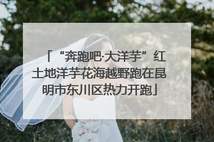 “奔跑吧·大洋芋”红土地洋芋花海越野跑在昆明市东川区热力开跑