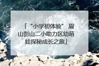 “小学初体验” 眉山彭山二小助力区幼萌娃探秘成长之旅