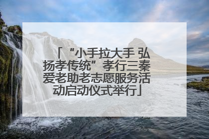 “小手拉大手 弘扬孝传统”孝行三秦爱老助老志愿服务活动启动仪式举行
