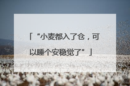 “小麦都入了仓，可以睡个安稳觉了”