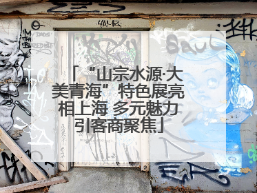 “山宗水源·大美青海”特色展亮相上海 多元魅力引客商聚焦