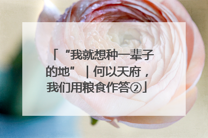 “我就想种一辈子的地”｜何以天府，我们用粮食作答②