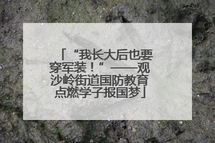 “我长大后也要穿军装！”——观沙岭街道国防教育点燃学子报国梦
