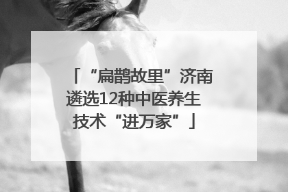 “扁鹊故里”济南遴选12种中医养生技术“进万家”