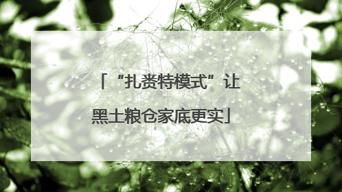 “扎赉特模式”让黑土粮仓家底更实