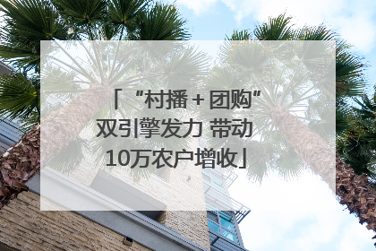 “村播＋团购”双引擎发力 带动10万农户增收