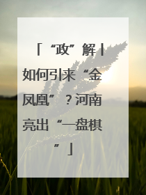 “政”解丨如何引来“金凤凰”？河南亮出“一盘棋”