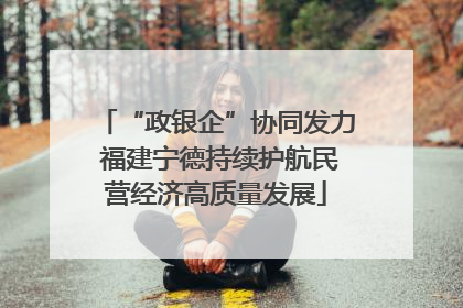 “政银企”协同发力 福建宁德持续护航民营经济高质量发展