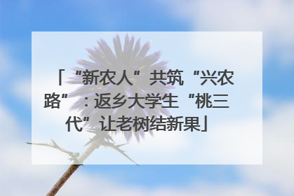 “新农人”共筑“兴农路”：返乡大学生“桃三代”让老树结新果